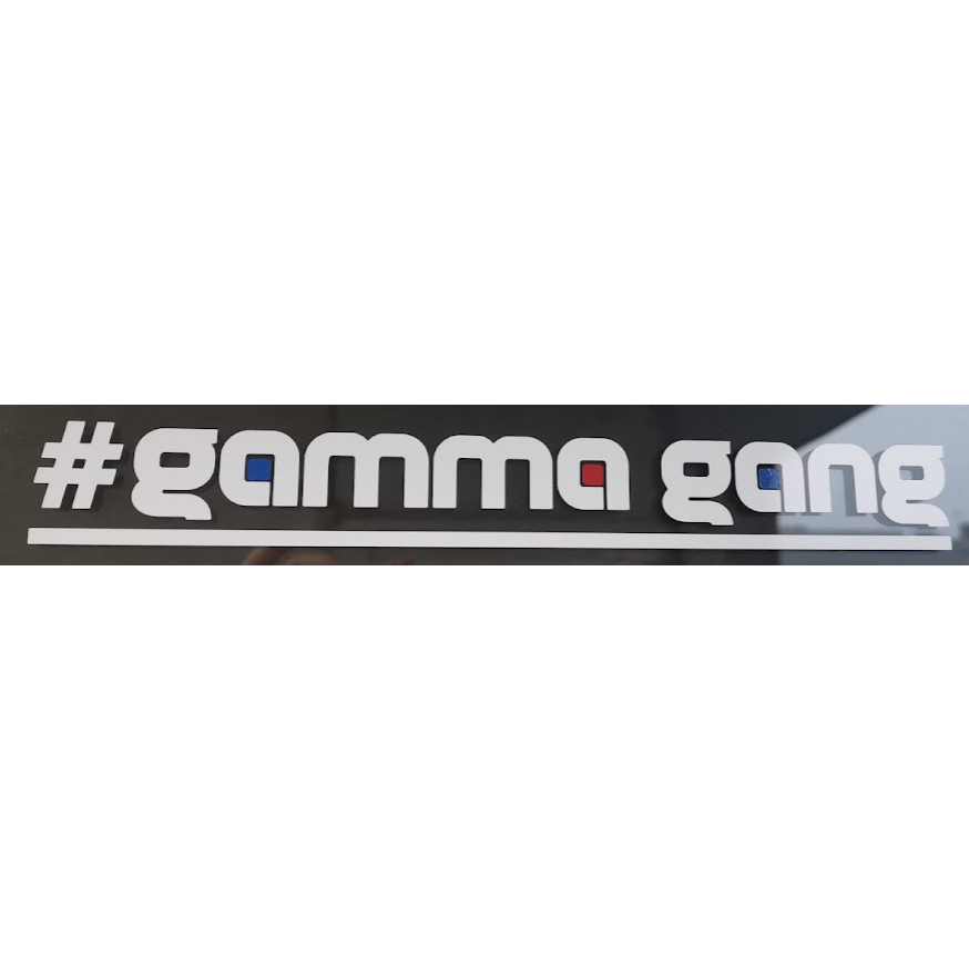 #gammagang Sticker