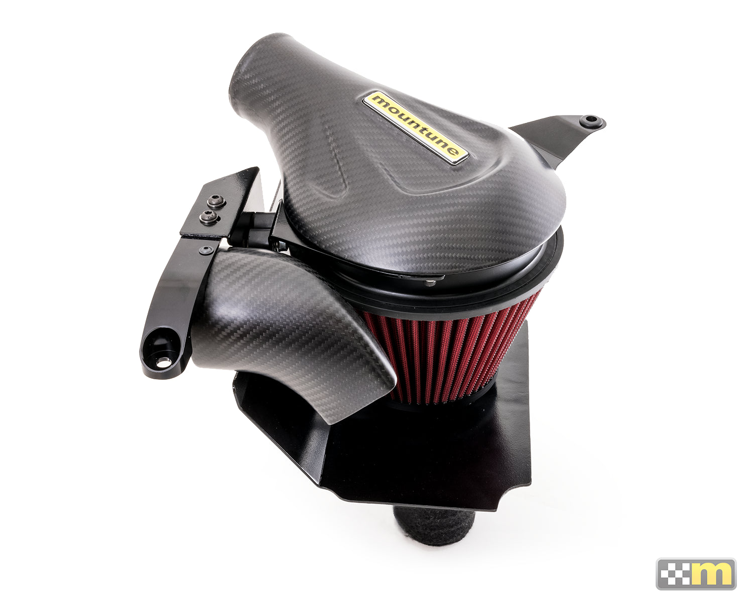 Fiesta ST Carbon Induction Kit