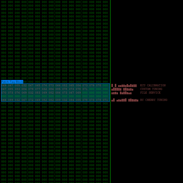 Custom ECU Tuning Service - Basic