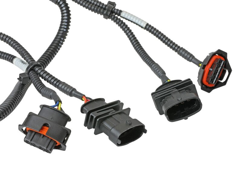 stinger-ck-g70-ik-scorcher-hd-module