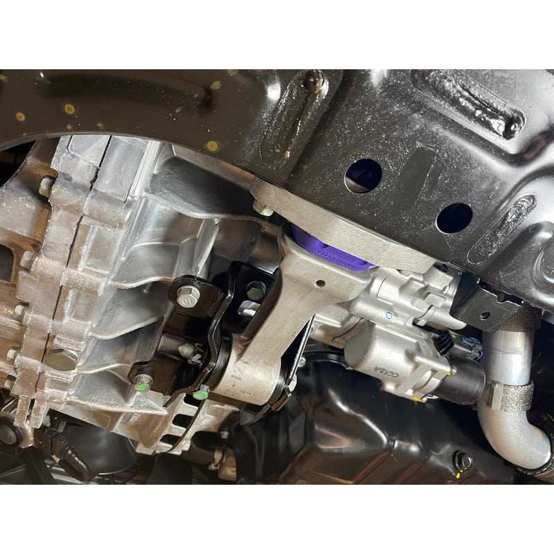 Lower Torque Mount Front Bush - Image 3 by Powerflex